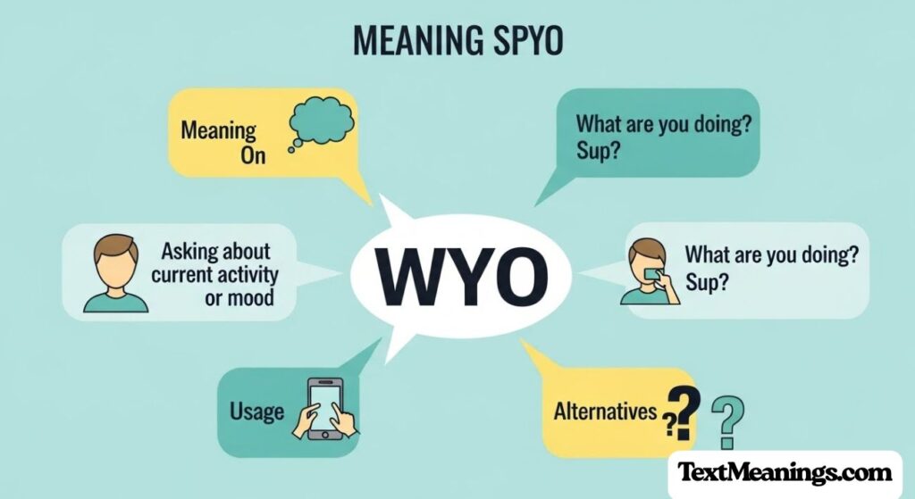 WYO Meaning in Text