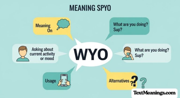 WYO Meaning in Text